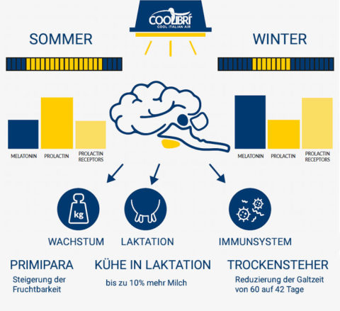 Stallbeleuchtung – STIBLEICHINGER